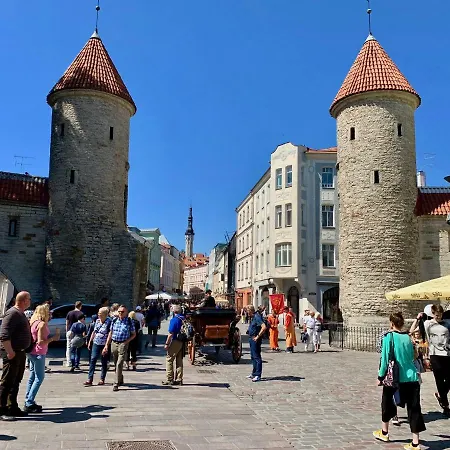 Golden Triangle Talllinn * Таллин